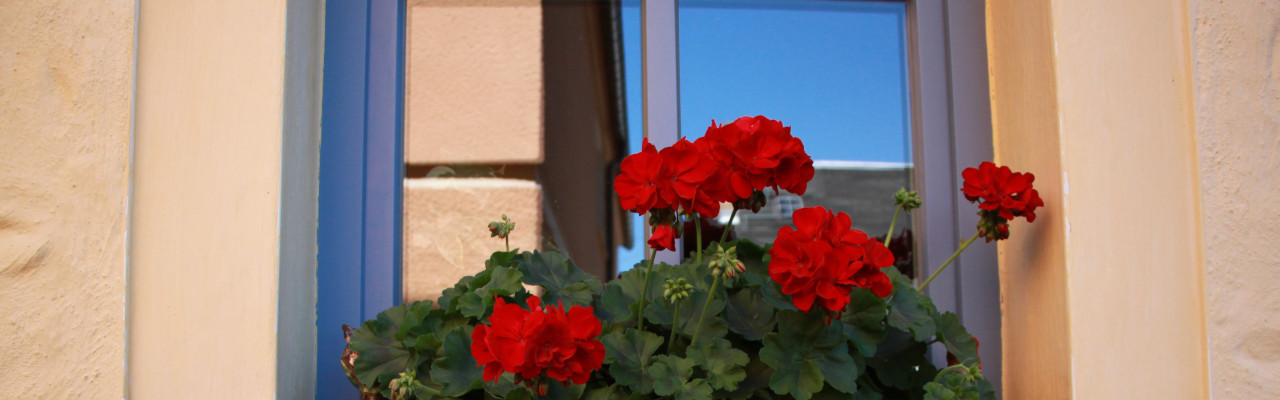 Das soziokulturelle Zentrum in Mittweida